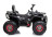 Детский квадроцикл с пультом 12V 2WD - XMX607-CARBON-PAINT