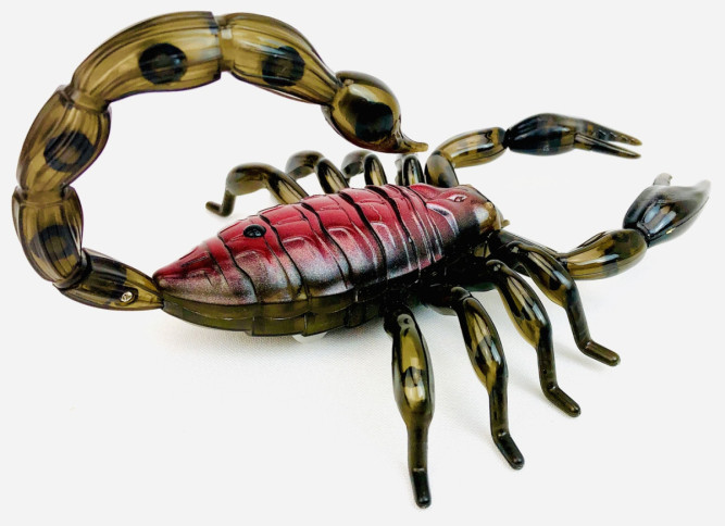 Радиоуправляемый черный скорпион RuiCheng - RUI-8902-BLACK