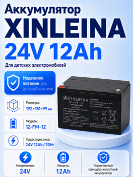 Аккумулятор XINLEINA 24V12Ah/20HR 12-FM-12 - X-12FM12