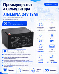 Аккумулятор XINLEINA 24V12Ah/20HR 12-FM-12 - X-12FM12