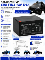Аккумулятор XINLEINA 24V12Ah/20HR 12-FM-12 - X-12FM12
