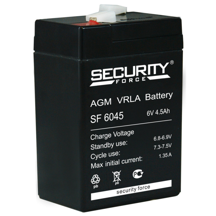 Security force sf