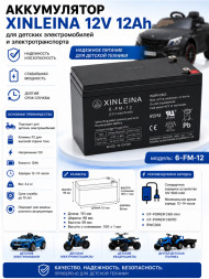 Аккумулятор XINLEINA 12V12Ah/20Hr - X-6FM12