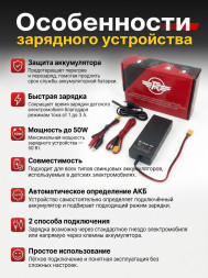 Универсальное зарядное устройство для электромобиля - RWC300