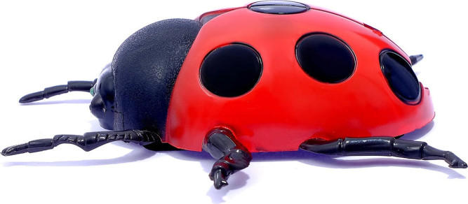 Божья коровка, ползающая по стенам (15 см, на пульте, USB-зарядка) - 866-2