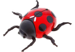 Божья коровка, ползающая по стенам (15 см, на пульте, USB-зарядка) - 866-2