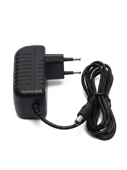 Зарядное устройство RR 12V 1000 mAh для электромобилей - XB-C1210